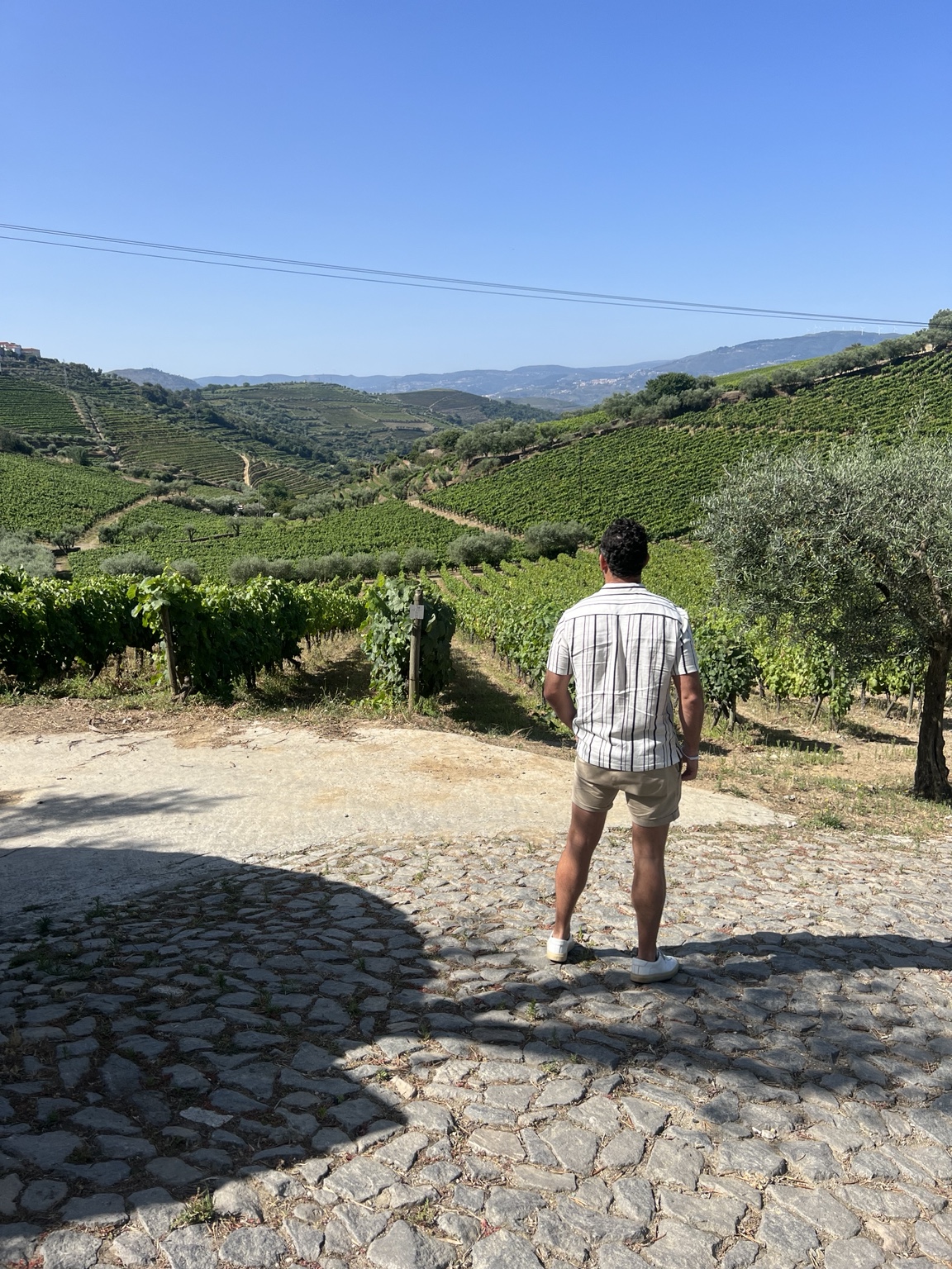Walking through a Douro Valley vineyard