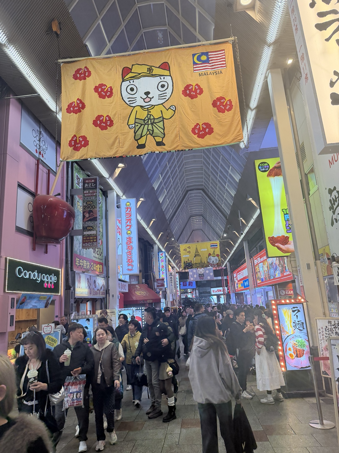 A busy Osaka shopping arcade