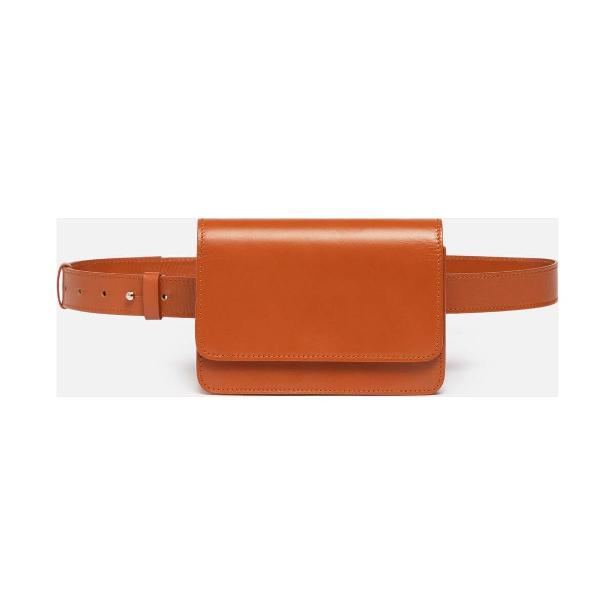 Camel Silver and Riley Parisian leather belt bag